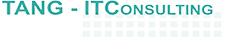 Tang-ITConsulting